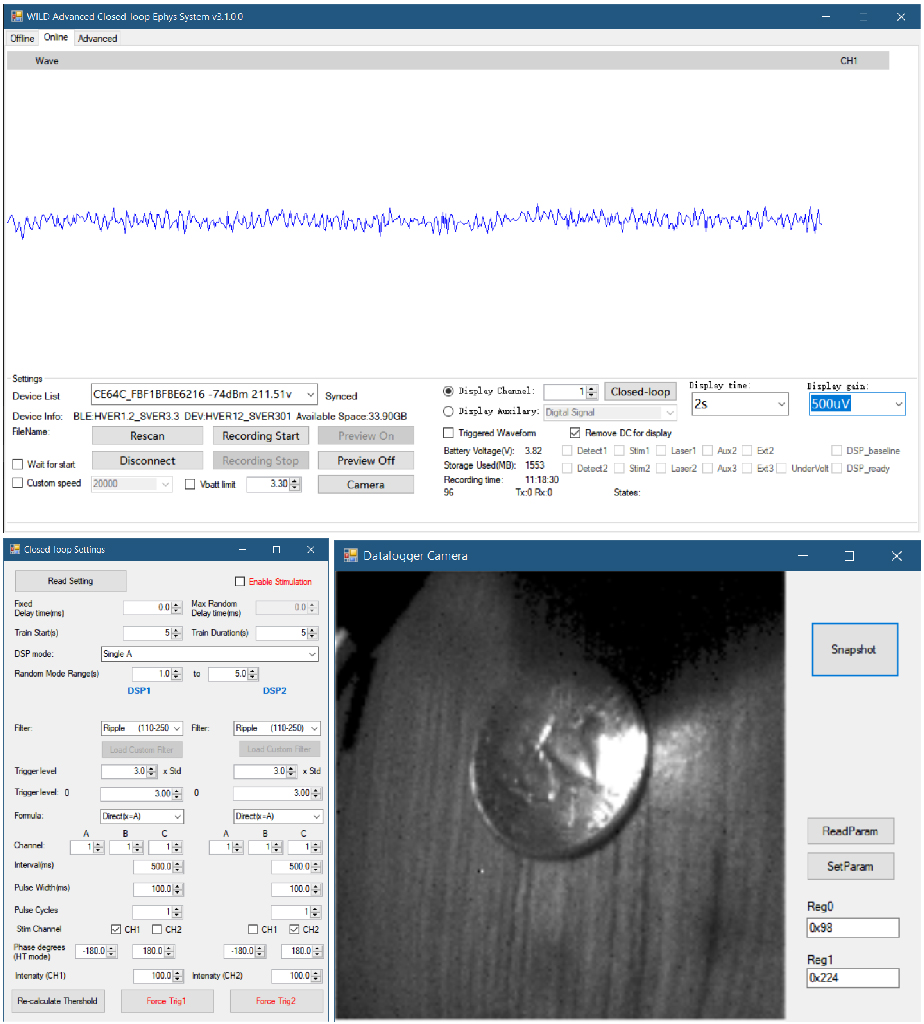 WILD_console runtime screenshot with live preview and camera windows